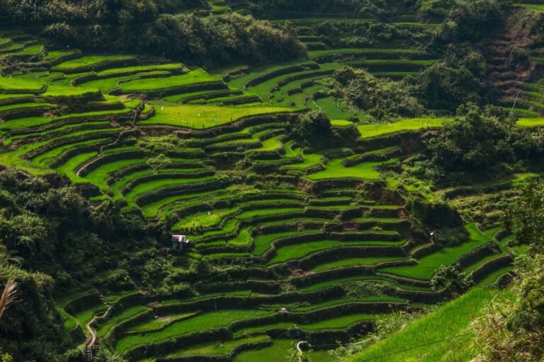 Yoga Retreats in Asia
