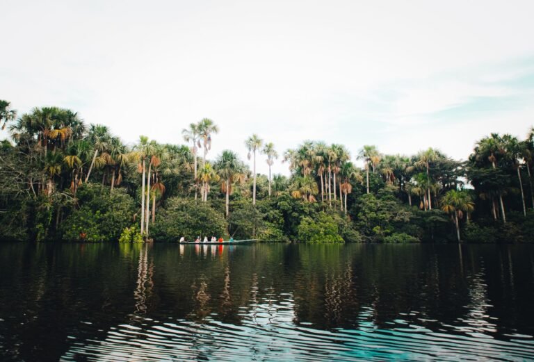 Yoga Retreats in Costa Rica